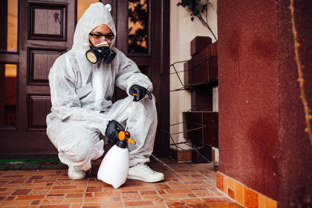 Reliable Ant Control contractor in Fortuna Foothills, AZ by Show Me Pest Control